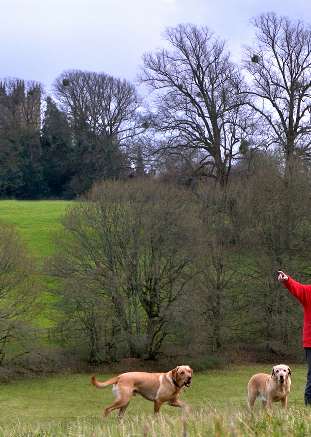 Women walking dogs near countryside castle