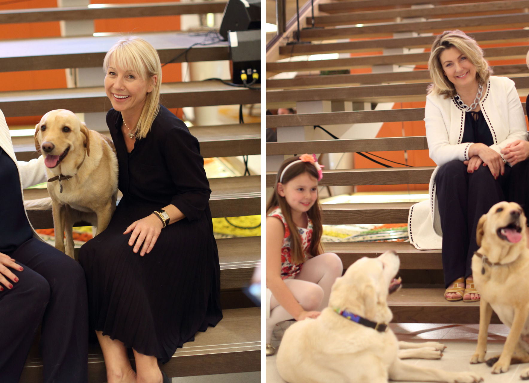 Women with Labrador dogs on stairs