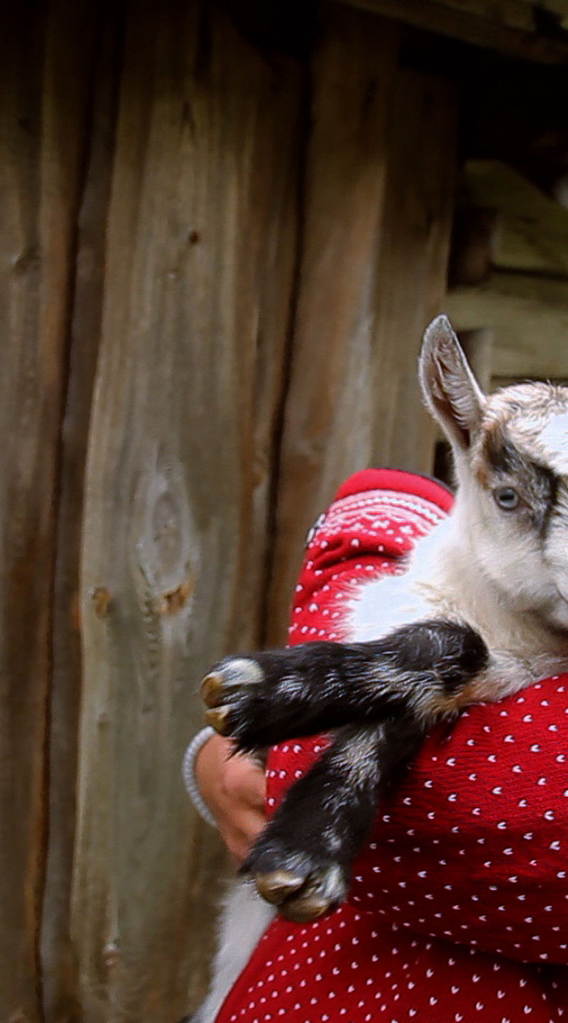 Woman holding baby goat near wooden cabin