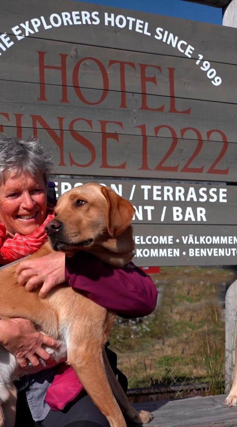 Hotel Finse 1222 sign with dogs outdoors