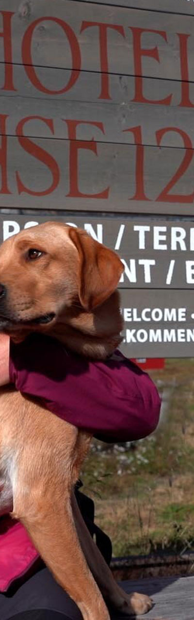 Hotel Finse 1222 sign with dogs outdoors
