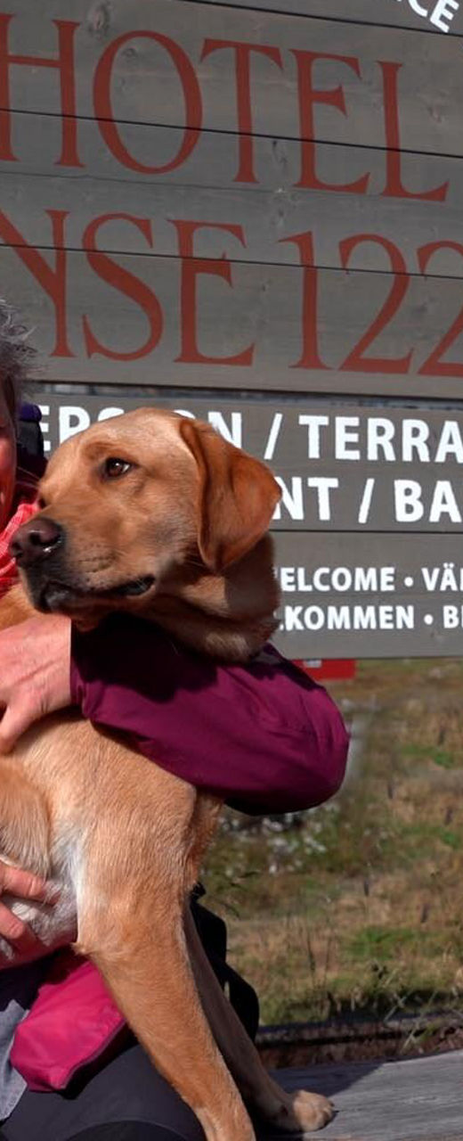 Hotel Finse 1222 sign with dogs outdoors