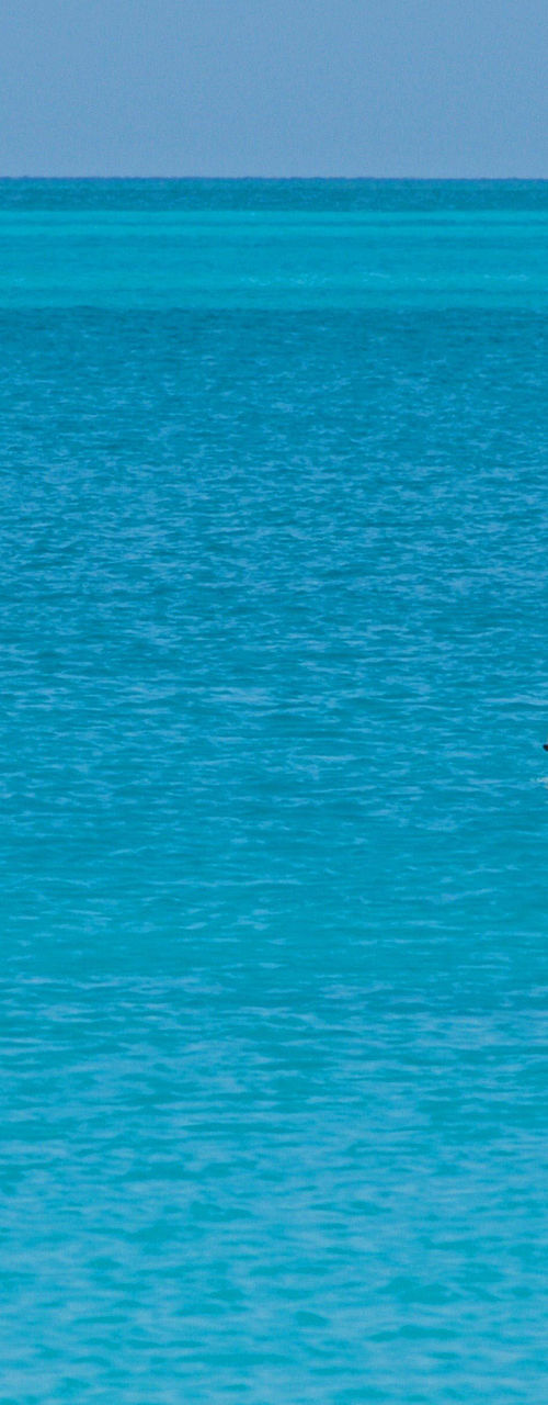 Two people kayaking on turquoise water