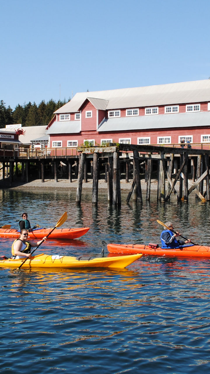 Icy Strait by Kayak