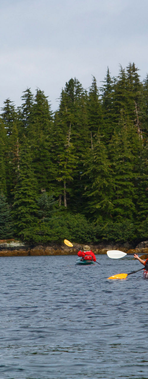 Group kayaking in scenic forested waters