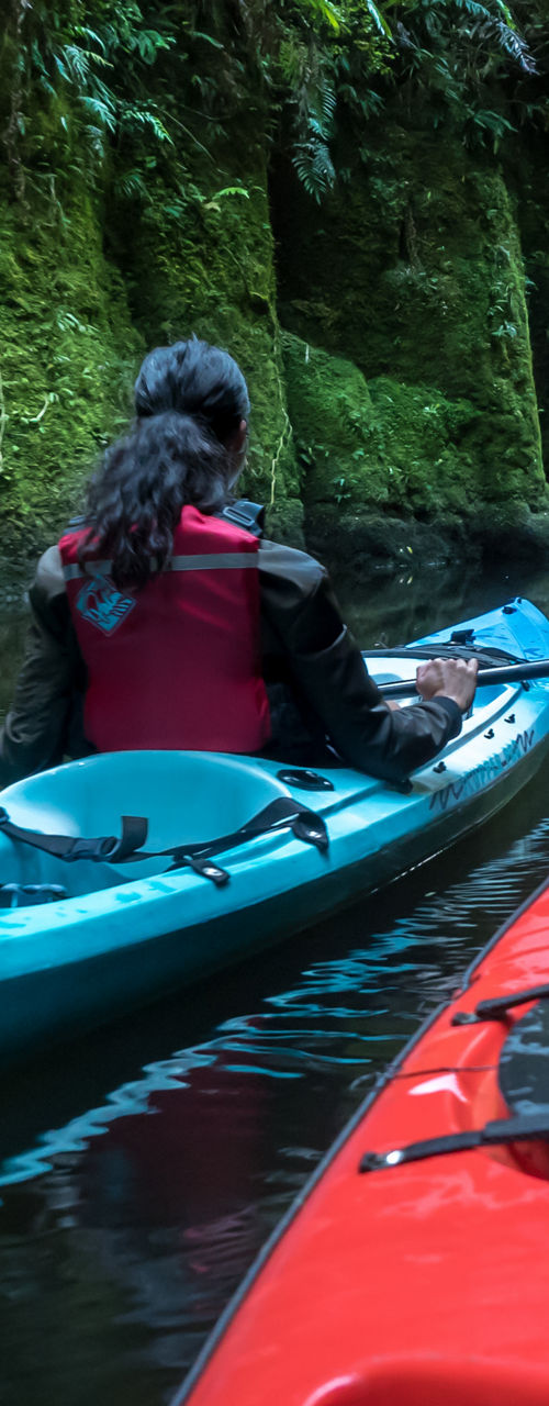 Kayakers exploring lush forest river