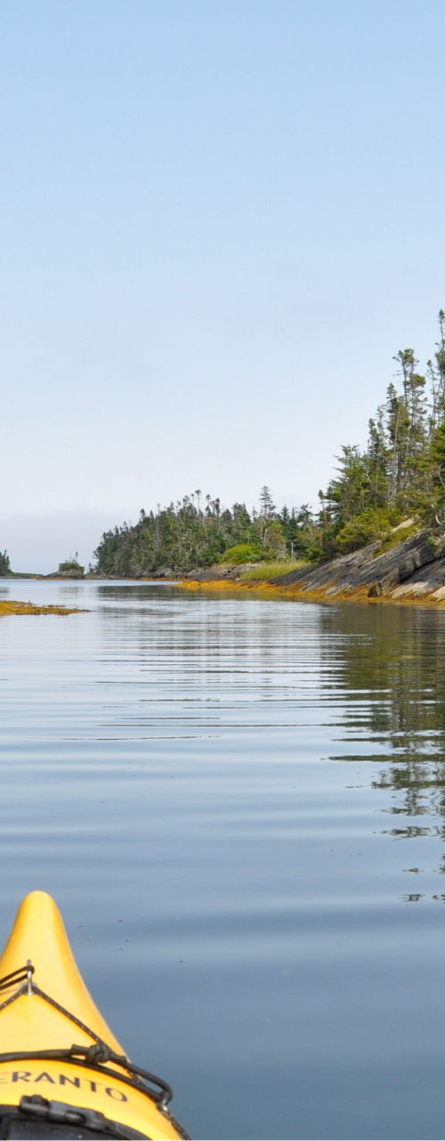 Yellow kayak in serene forest waterway