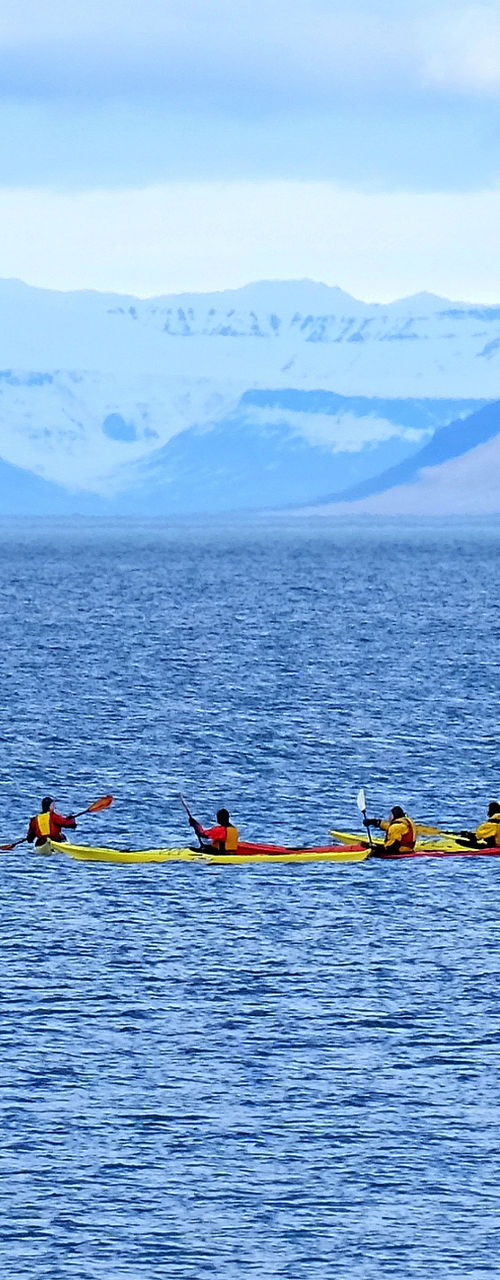 Group kayaking in Arctic waters
