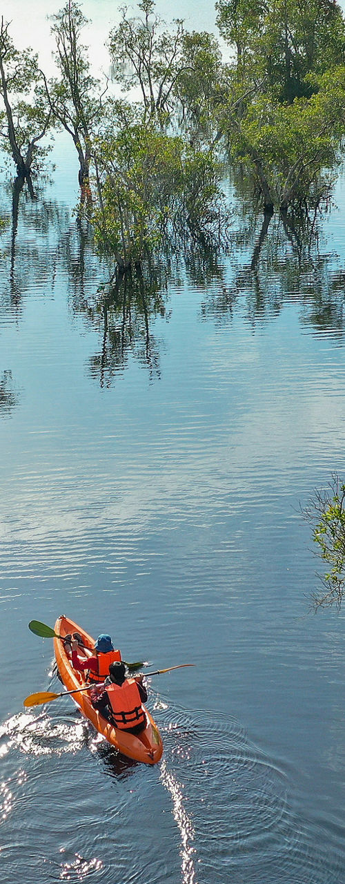 Red kayak gliding through serene wetlands