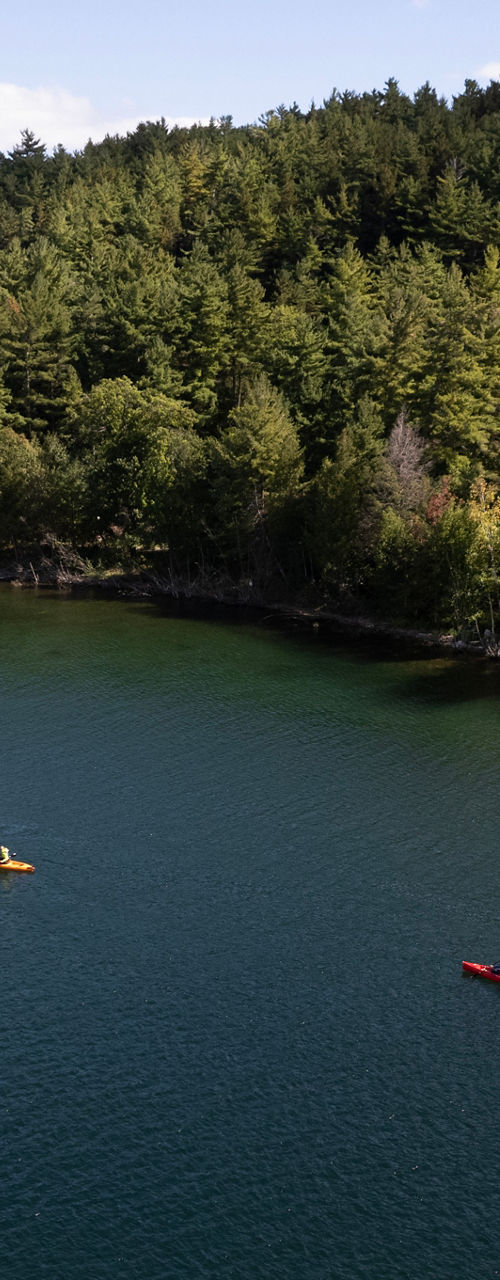 Kayakers on serene lake surrounded by forest