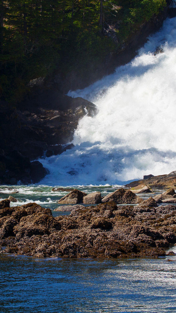 Sitka Sound by Kayak