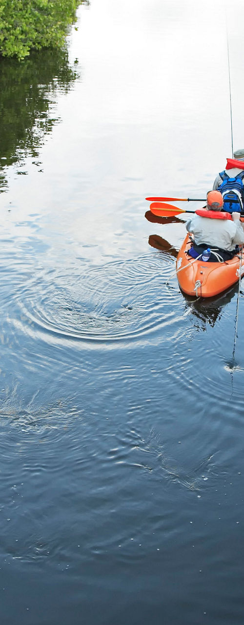 Two kayakers paddling in serene river
