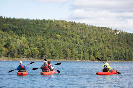 Group kayaking on scenic lake
