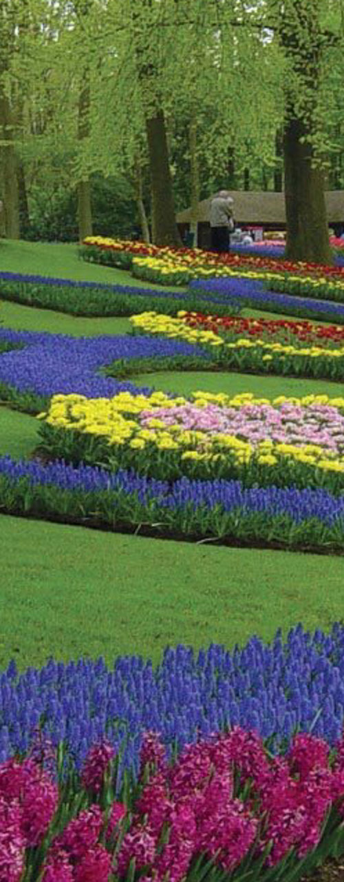 Vibrant Flower Beds in Lush Park