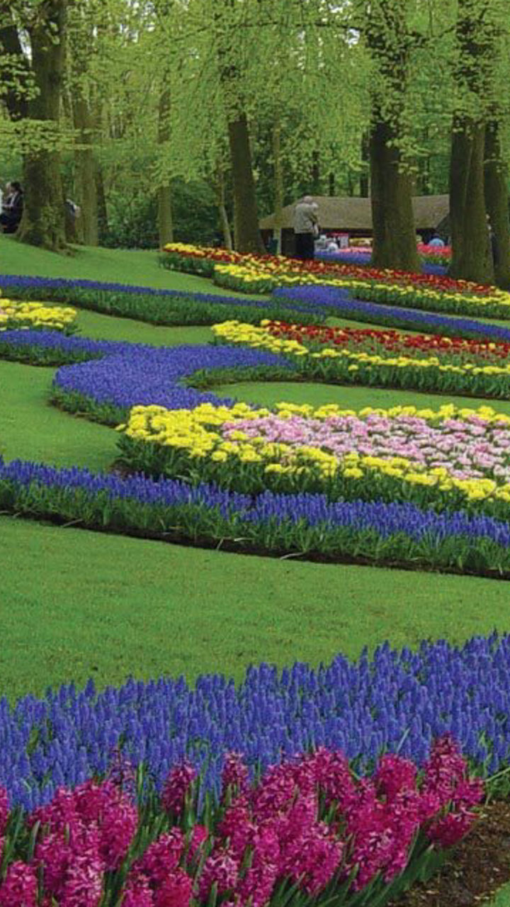 Vibrant Flower Beds in Lush Park