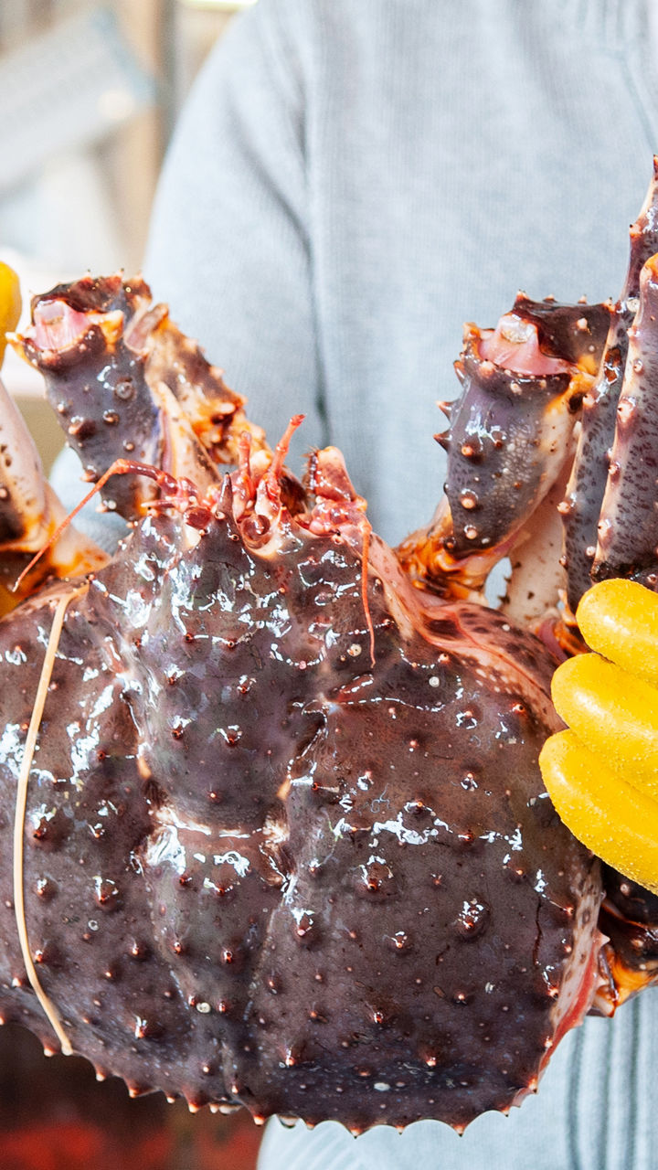 Fjord Cruise & King Crab Experience