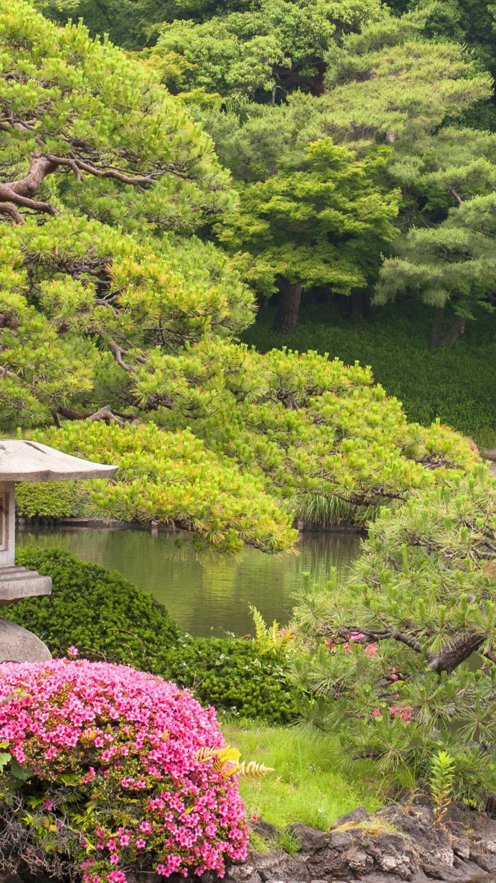 Edo-Tokyo Museum & Japanese Garden