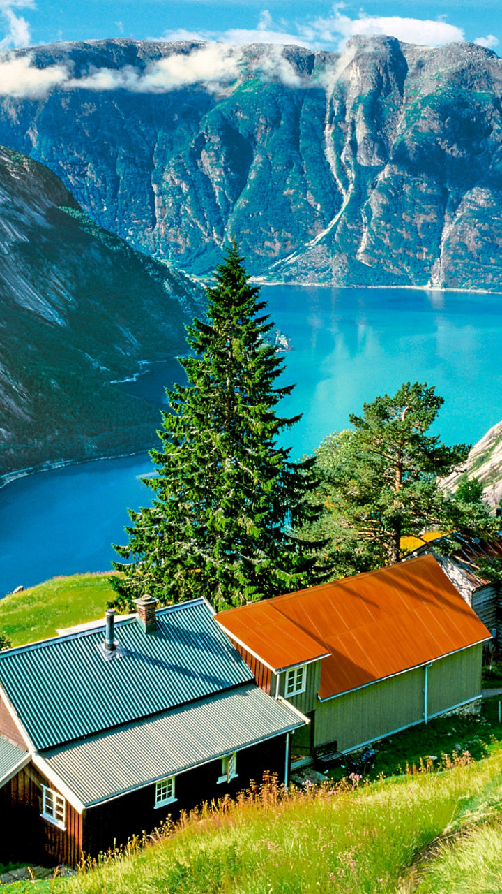 Scenic fjord view with hillside cottages