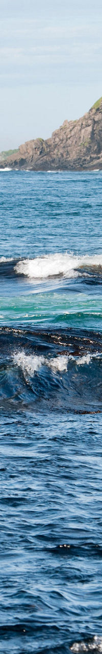 Coastal landscape with waves and green hills
