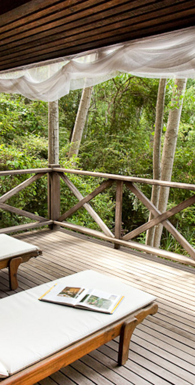 Relaxing outdoor deck with forest view