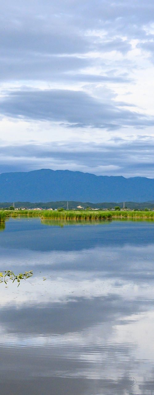 Calm wetland lake with distant blue mountains