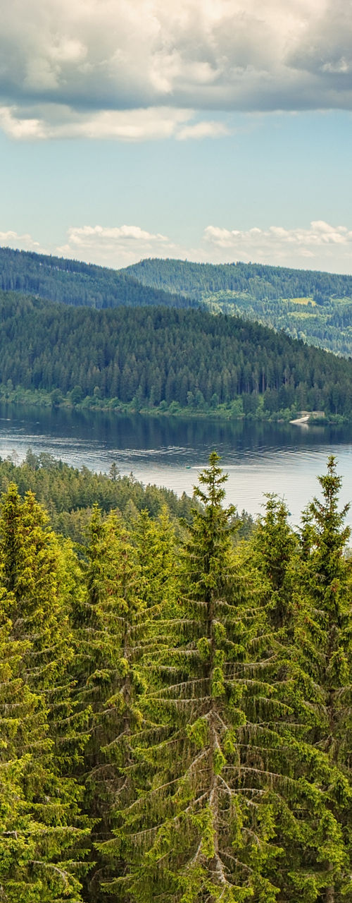 Scenic forest and lake under cloudy sky