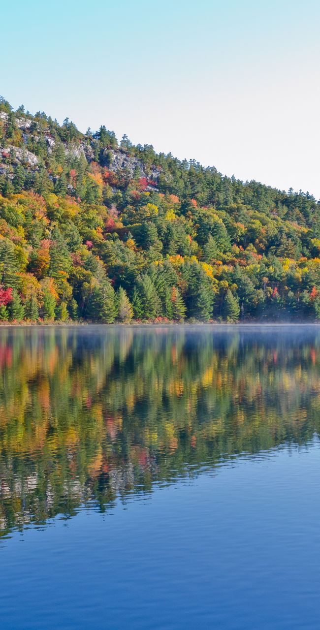 Serene lake with autumn forest reflection