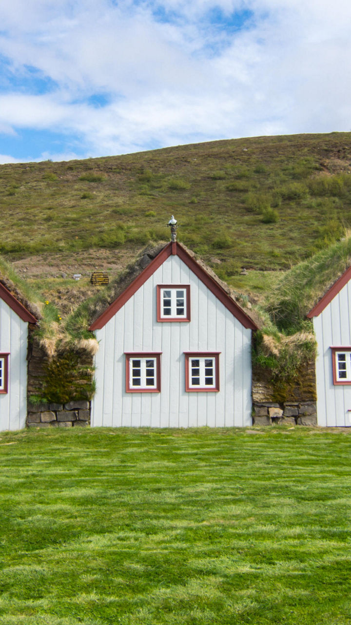“Waterfall of the Gods” & Icelandic Farm Life