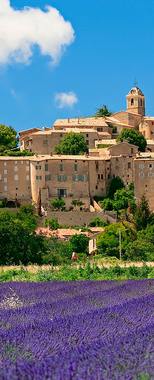 Lavender fields with scenic hilltop village