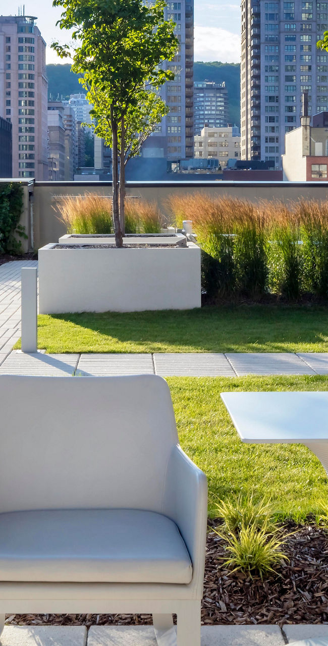 Modern rooftop garden with city skyline view