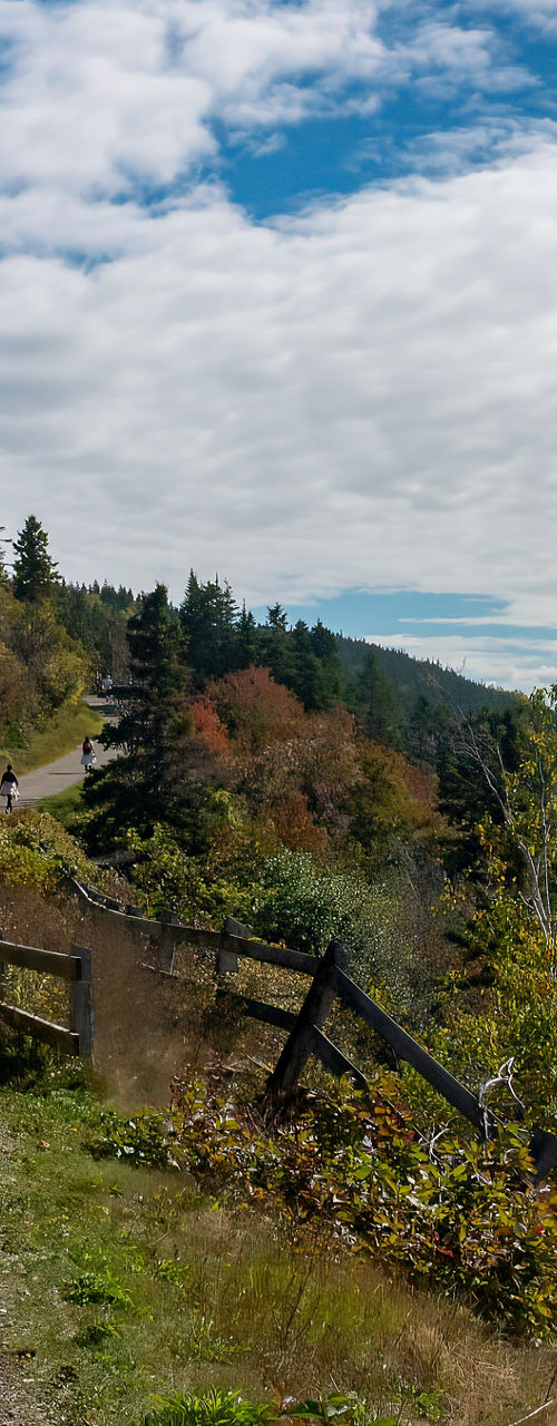 Scenic coastal trail with autumn foliage