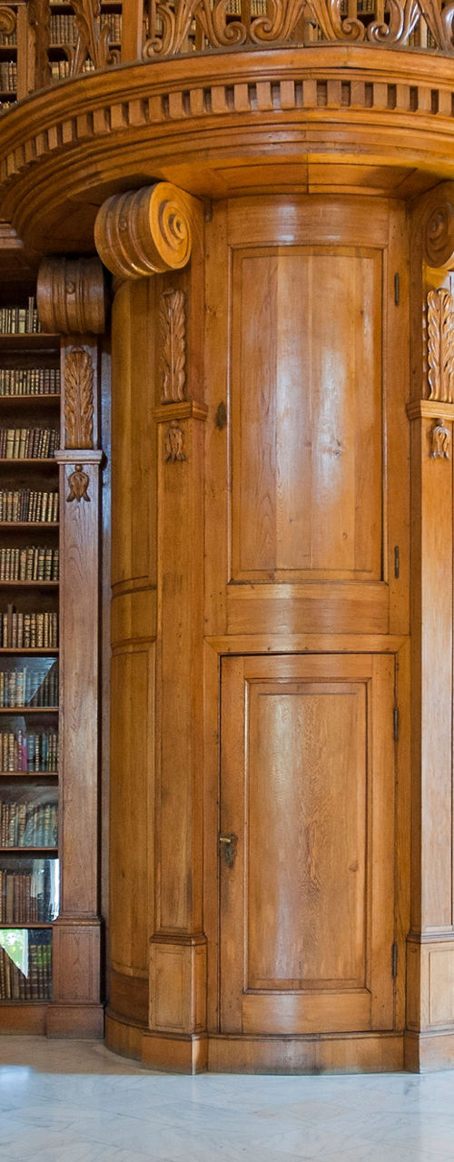 Elegant wooden library with classic design