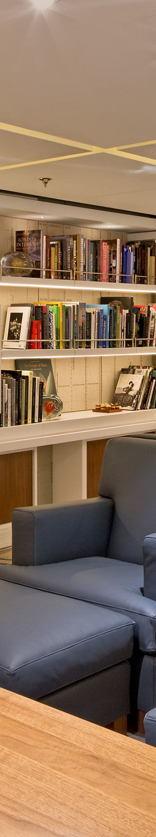 Modern lounge with bookshelves and decor