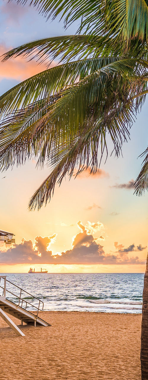 Beach sunrise with lifeguard hut and palm trees