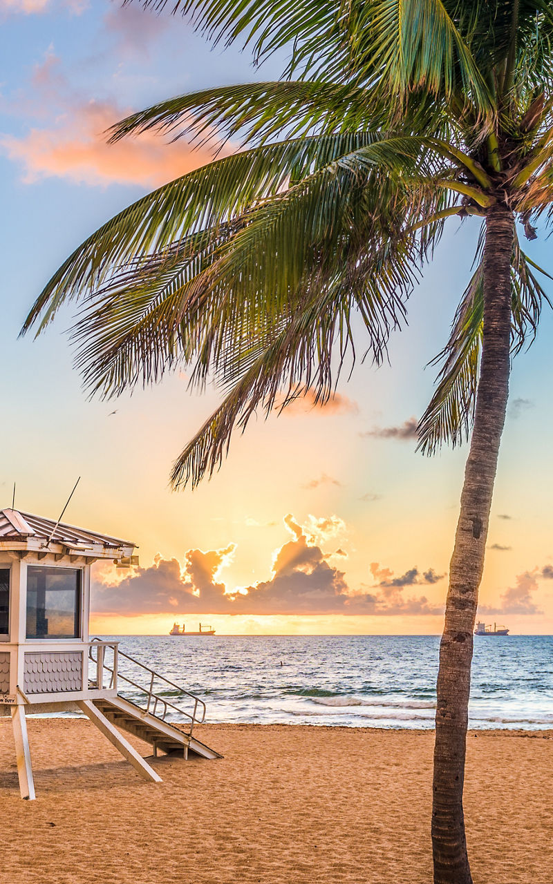 Beach sunrise with lifeguard hut and palm trees