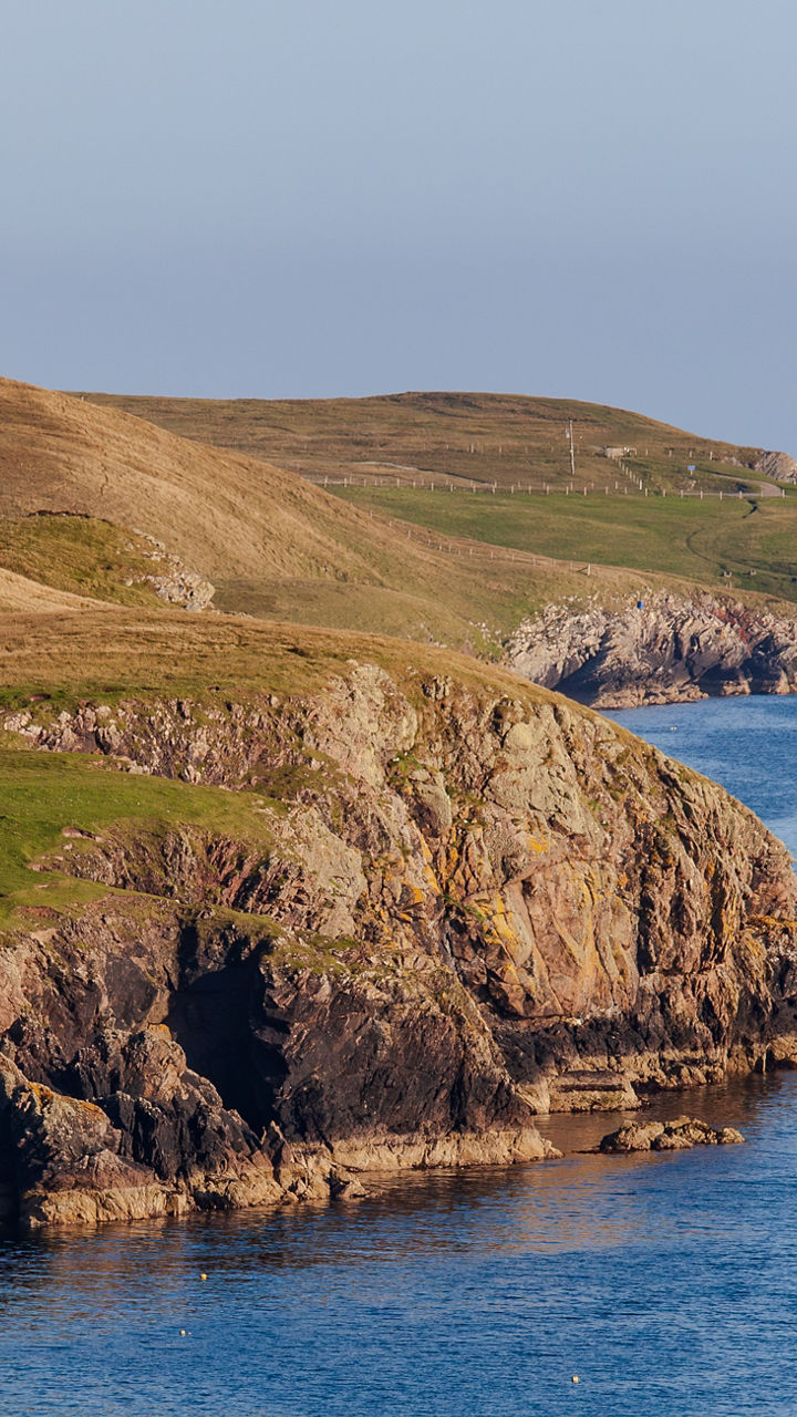 Shetland Seabirds Experience by Boat