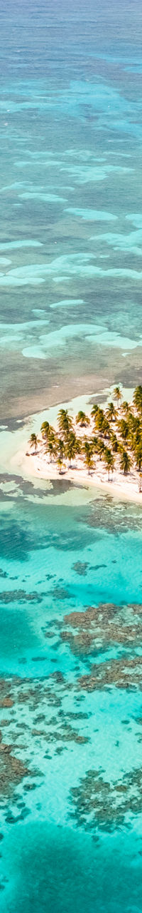 Aerial view of tropical island and reef