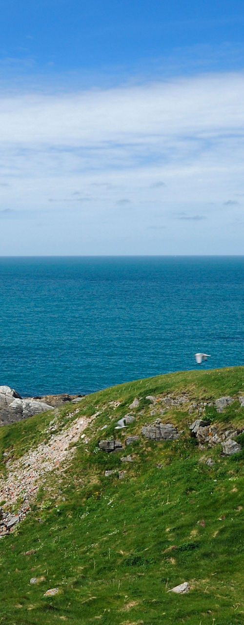 Coastal Lighthouse Overlooking Blue Ocean