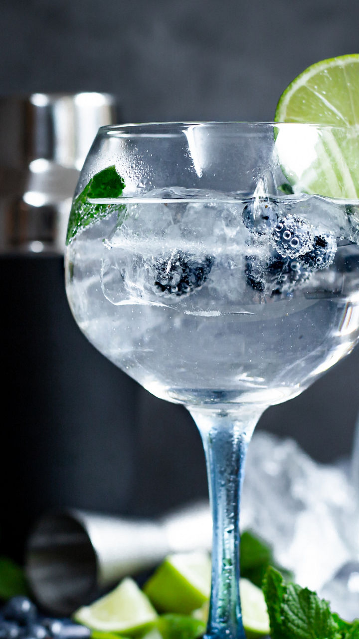 Gin Tasting at Napier’s Art Deco Gem