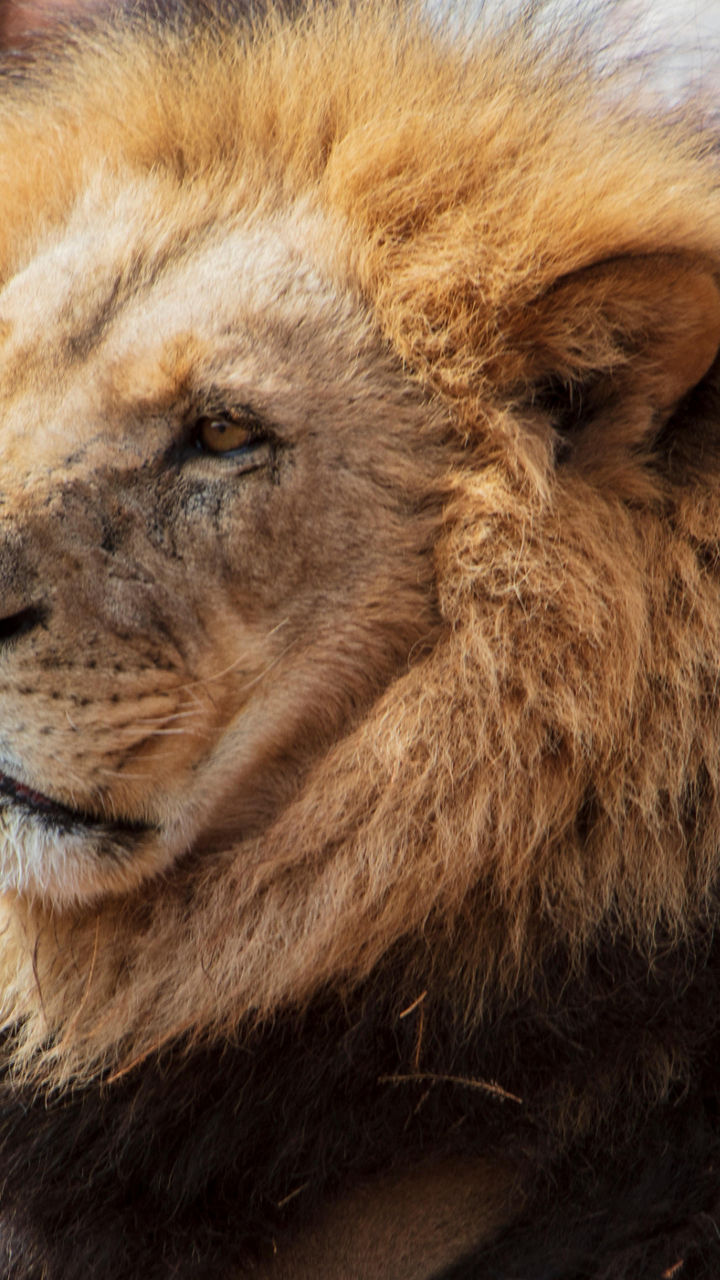 Aquila Private Game Reserve