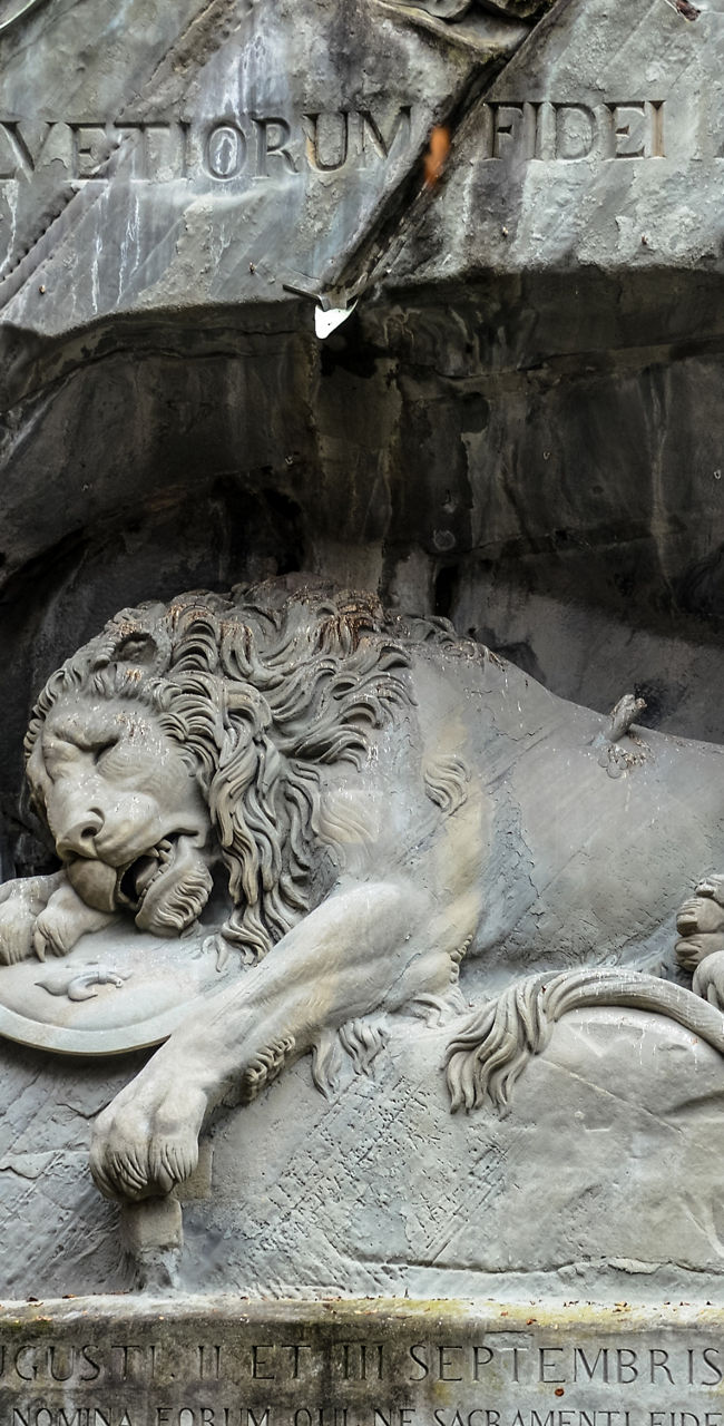 Lion Monument carved into rock wall