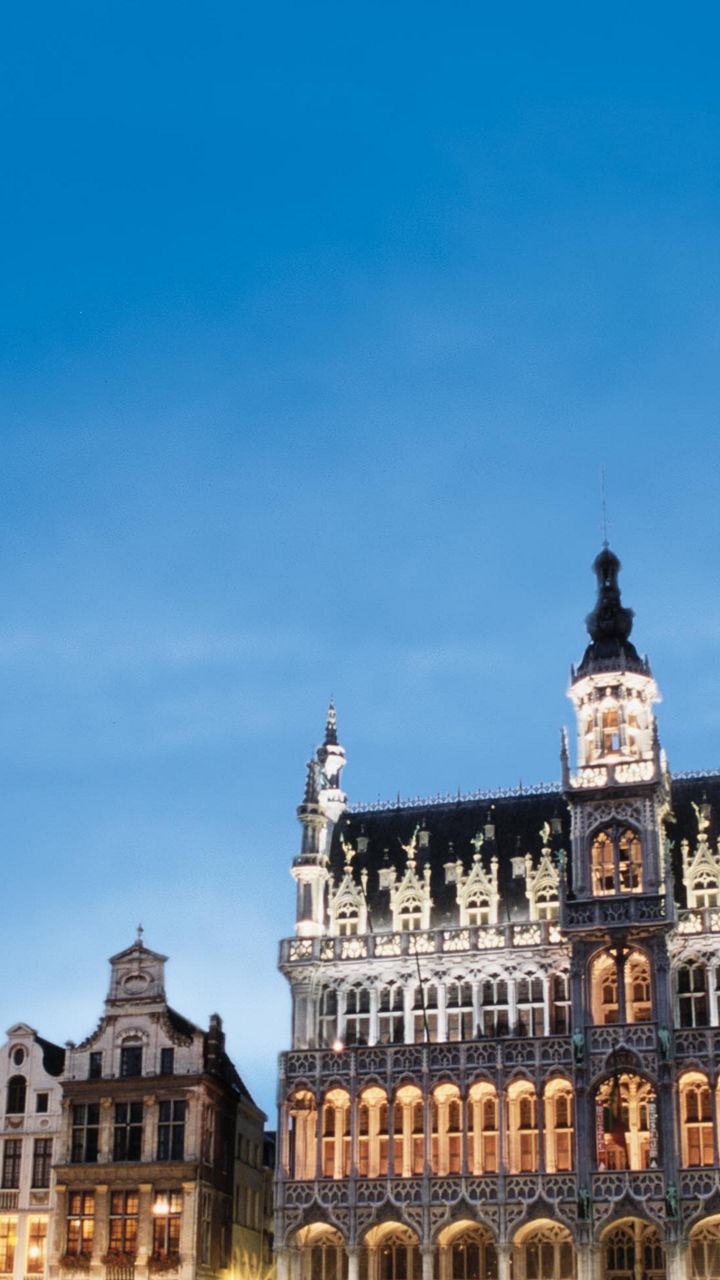 Lion statue overlooking Grand Place at dusk