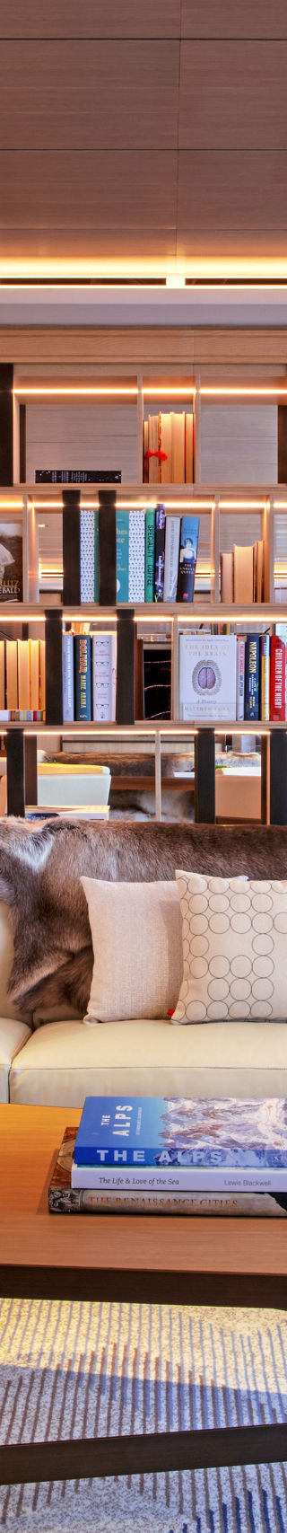 Modern living room with bookshelf and cozy seating