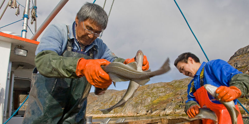 Fishermen handling fresh catch on boat