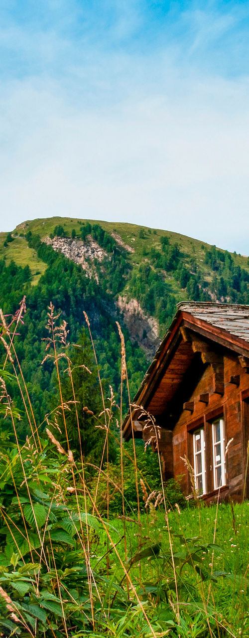 Rustic cabin with alpine mountain view