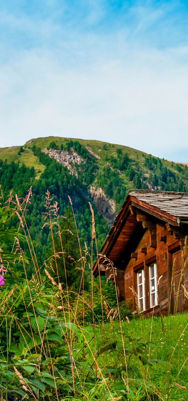Rustic cabin with alpine mountain view