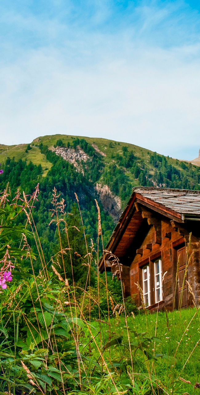 Rustic cabin with alpine mountain view