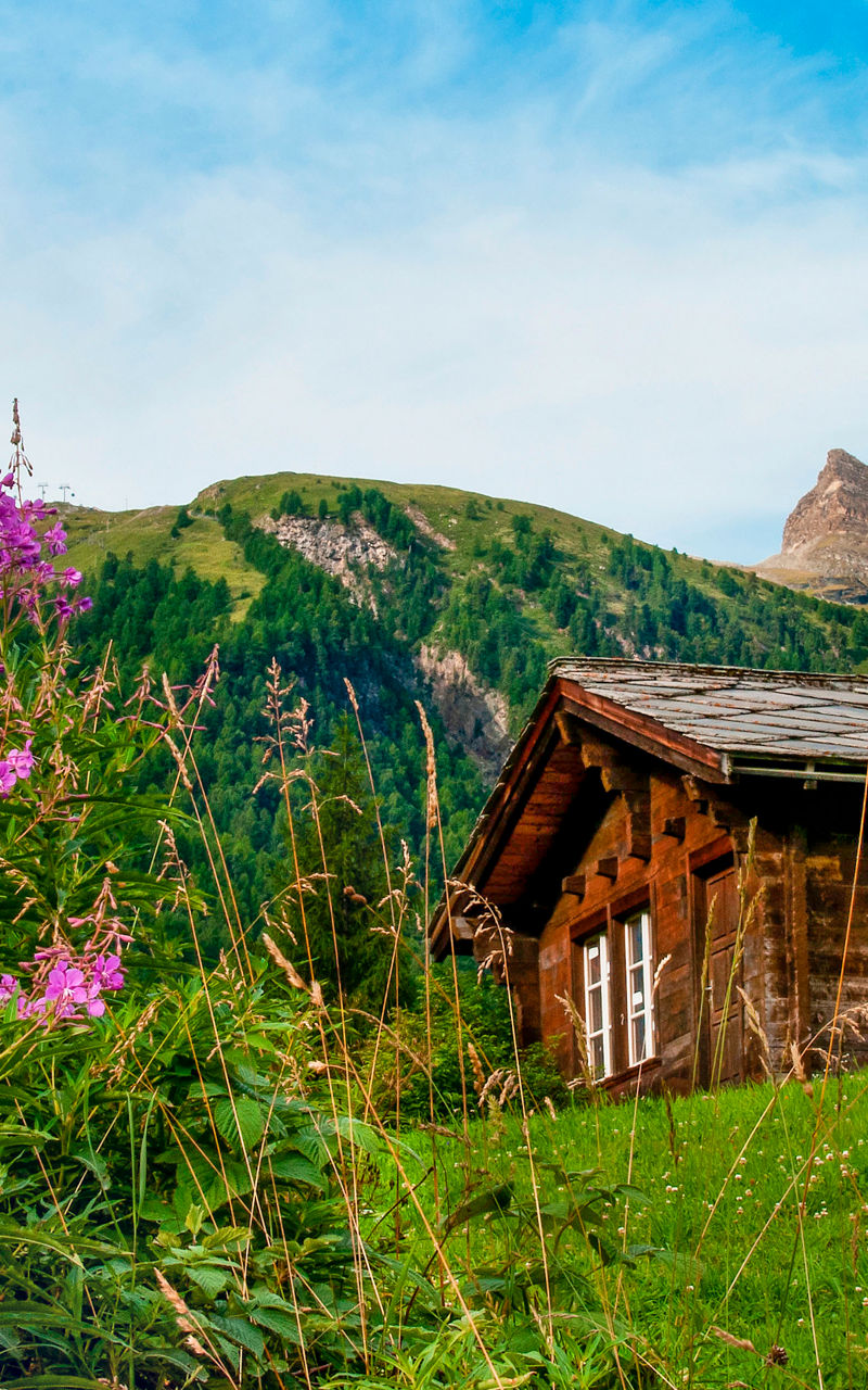 Rustic cabin with alpine mountain view