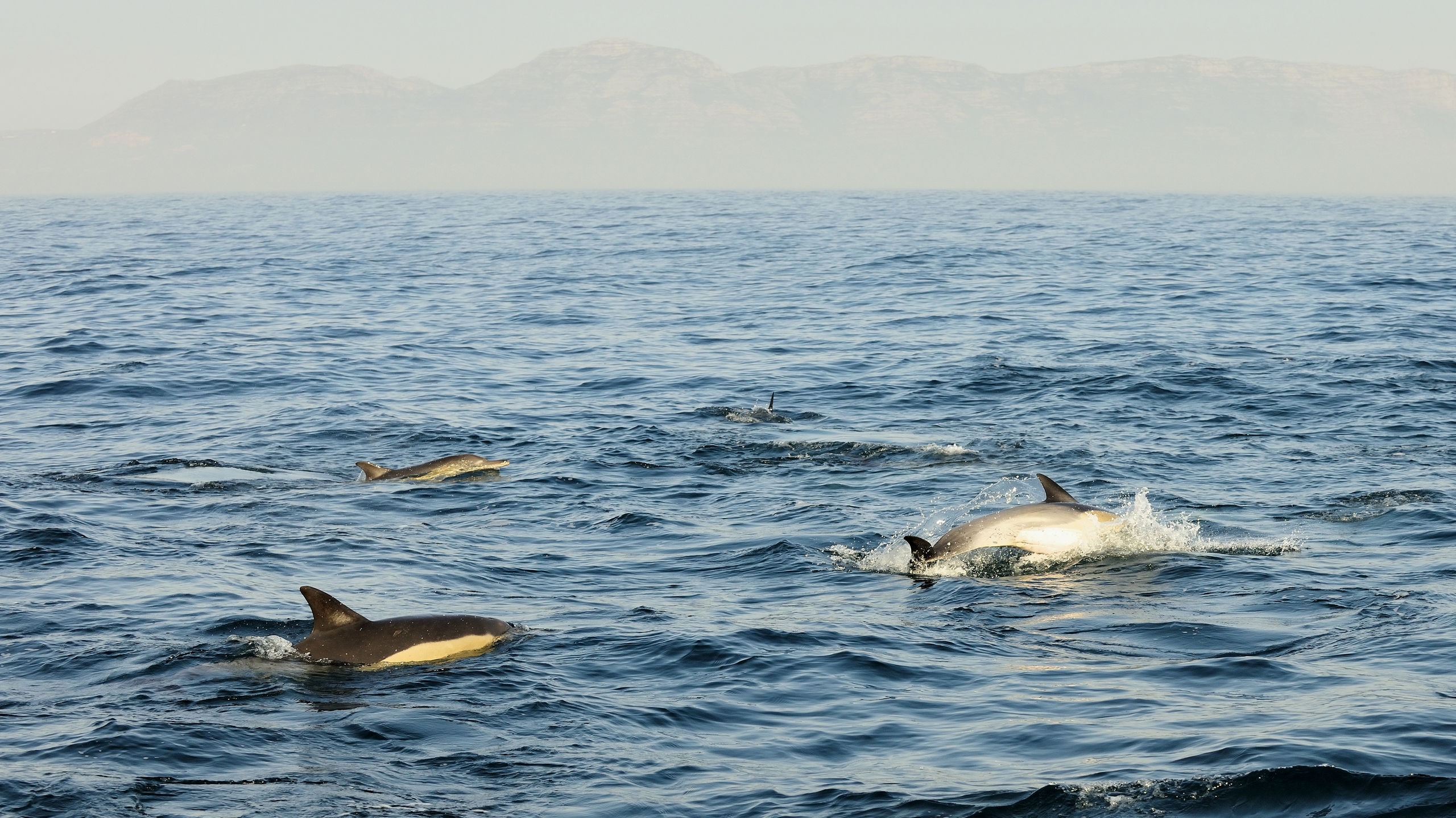 Southern Atlantic Crossing