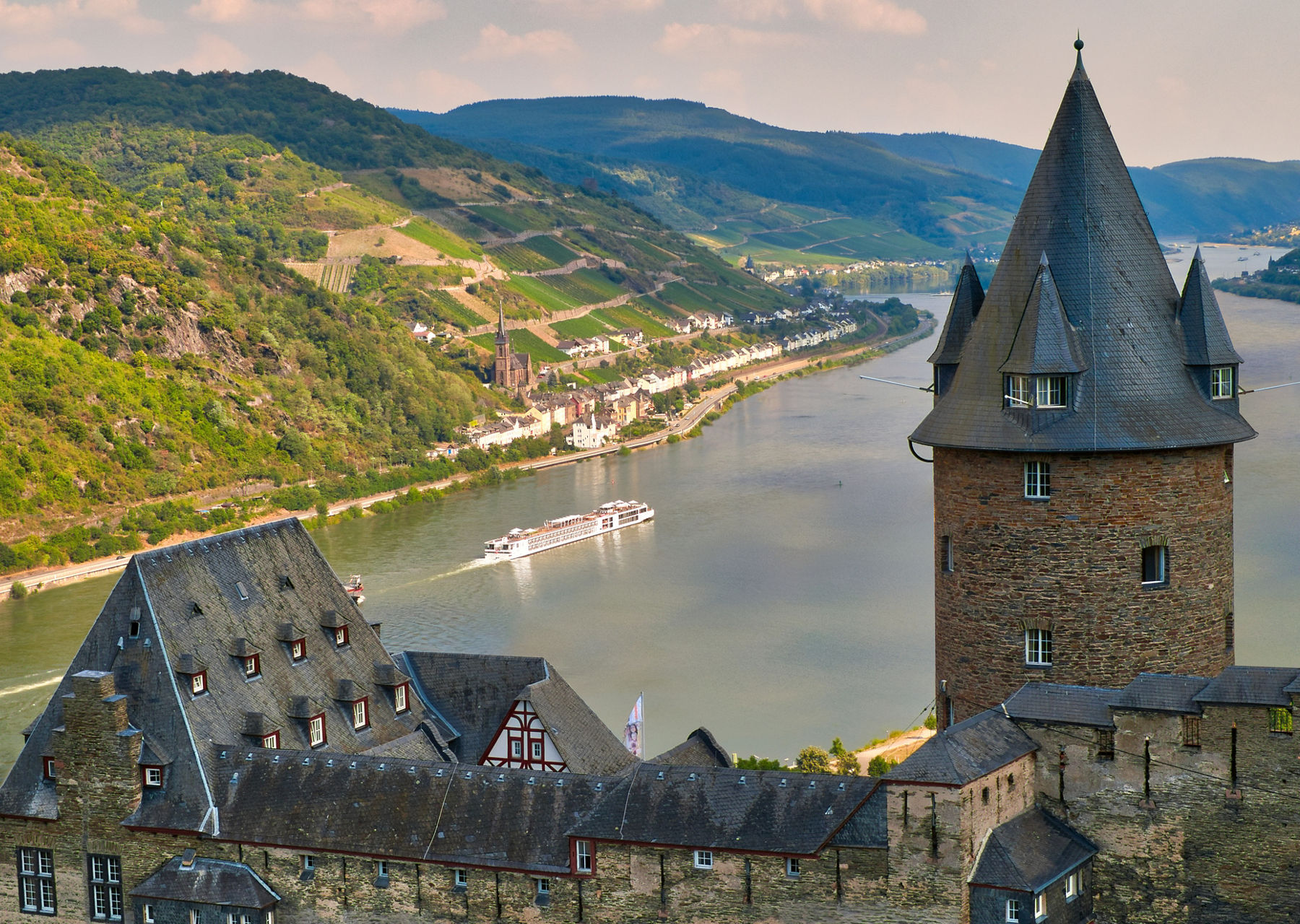 Castle and vineyards above the Rhine River